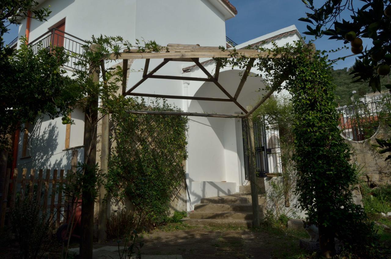 Il Giardino Del Sole Bed & Breakfast Roccarainola Bagian luar foto