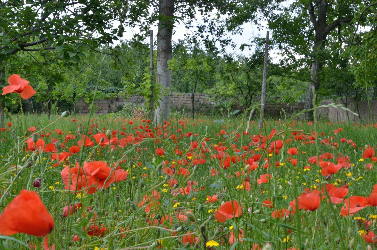 Il Giardino Del Sole Bed & Breakfast Roccarainola Bagian luar foto