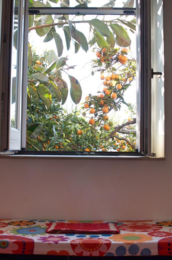 Il Giardino Del Sole Bed & Breakfast Roccarainola Bagian luar foto
